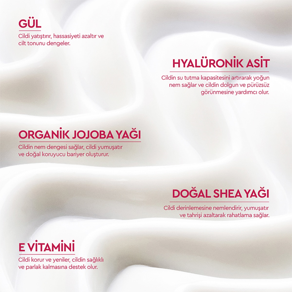 OTACI OTACI Otacı Botanics+ Nemlendirici Yüz ve Boyun Kremi 50 ml 1 of 13