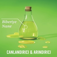OGX Şampuan Rosemary Mint 385 ml