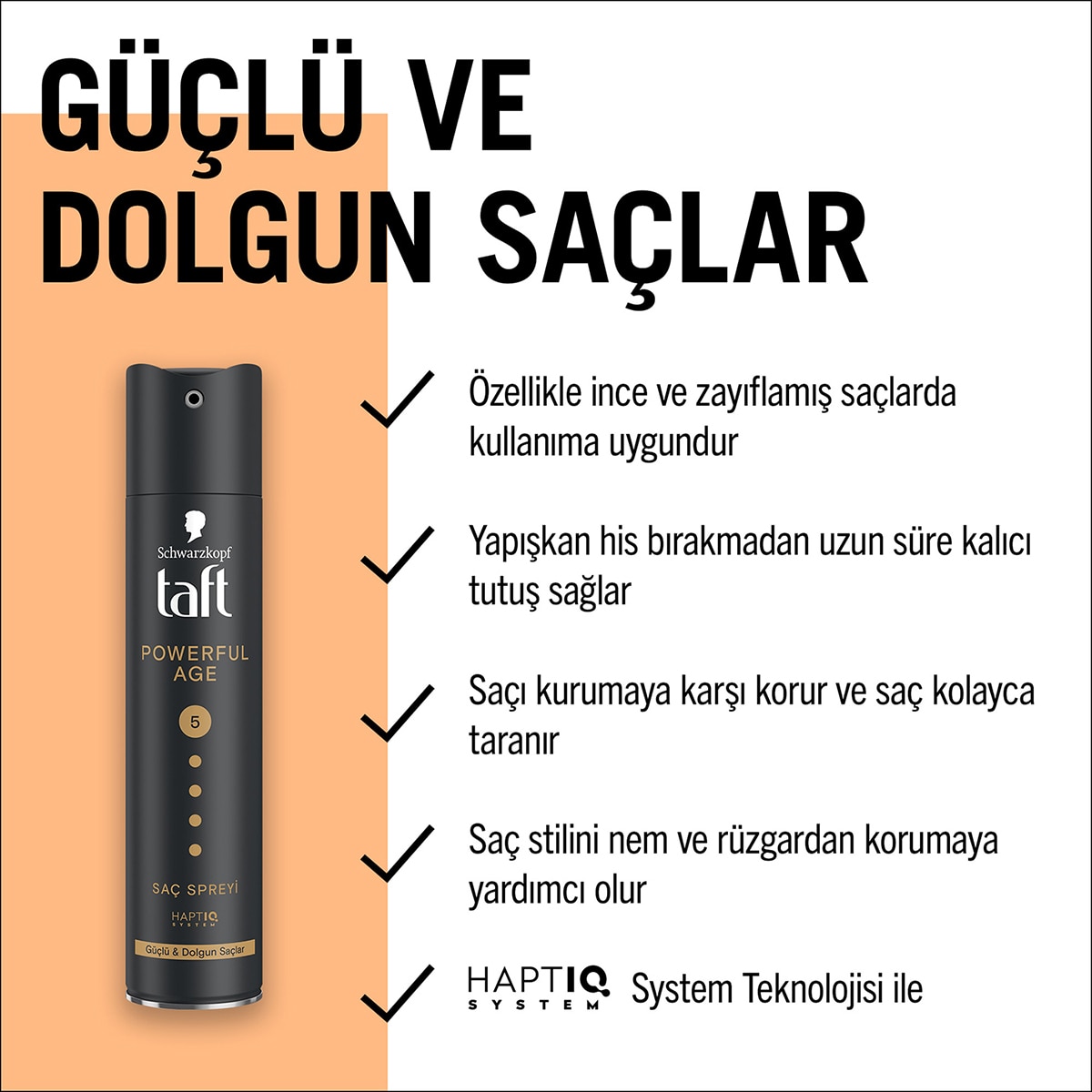 TAFT TAFT Taft Powerful Age Sprey 250 ml 1 of 6