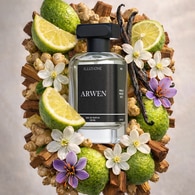 undefined ILLUSIONE ILLUSIONE ARWEN EDP ERKEK PARFÜM 100ML 1 of 6