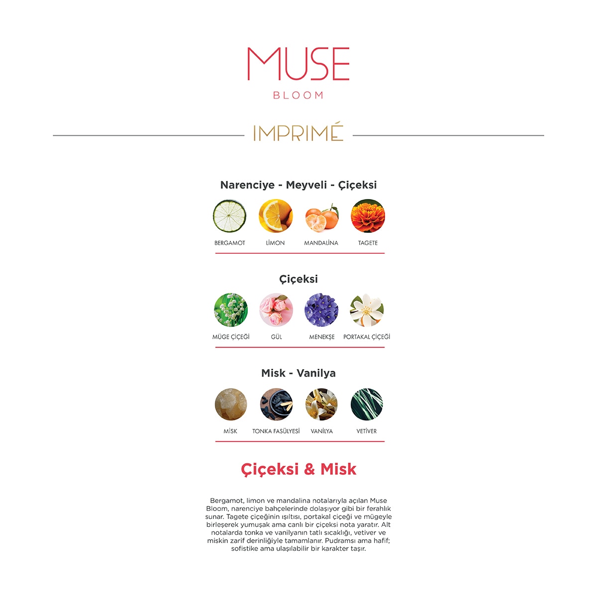  Imprime IMPRIME EXC. Imprime Muse Bloom Kadın EDP Parfüm 50 ml  1 of 7 