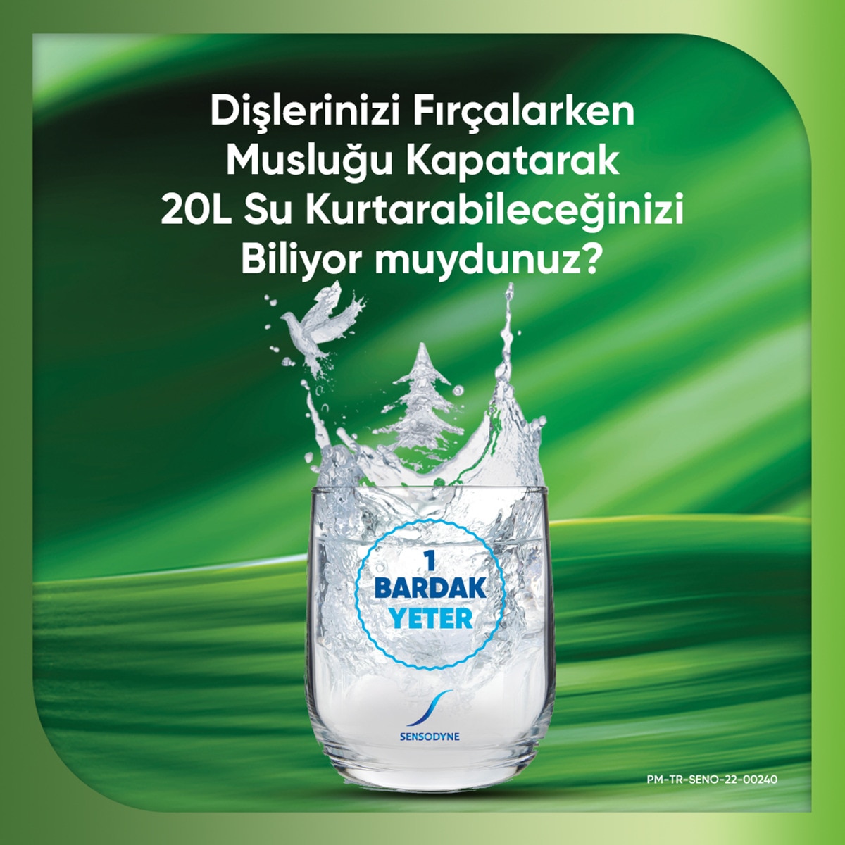  SENSODYNE SENSODYNE Sensodyne Diş Fırçası Nourish 1+1  1 of 6 