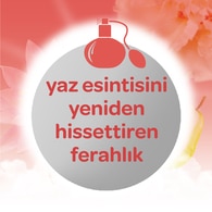 Dalin Kolonya Yaz Esintisi 150 ml