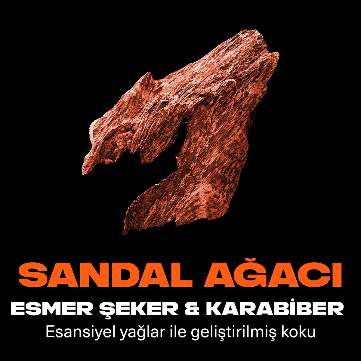 AXE AXE Axe Premium Collection Duş Jeli Copper Santal 3in1 Vücut Saç Yüz 300 ml 1 of 10
