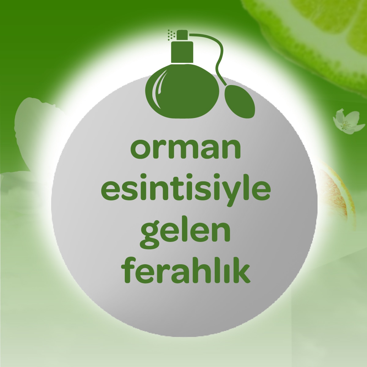 DALİN DALİN Dalin Orman Esintisi Bebek Kolonyası 150 ml 1 of 5