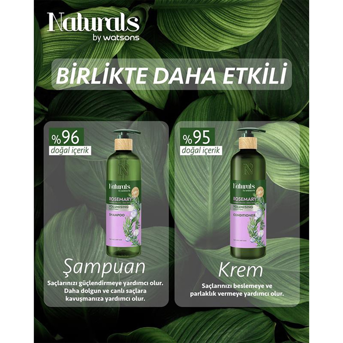NATURALS BY WATSONS NATURALS BY WATSONS Naturals By Watsons Rosemary Şampuan 490 ml 1 of 3