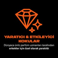 Axe Premium Collection Duş Jeli Copper Santal 3in1 Vücut Saç Yüz 300 ml