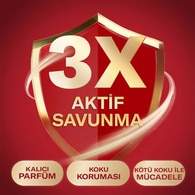 Old Spice Captain Stick 50 ml + Şampuan 300 ml Set