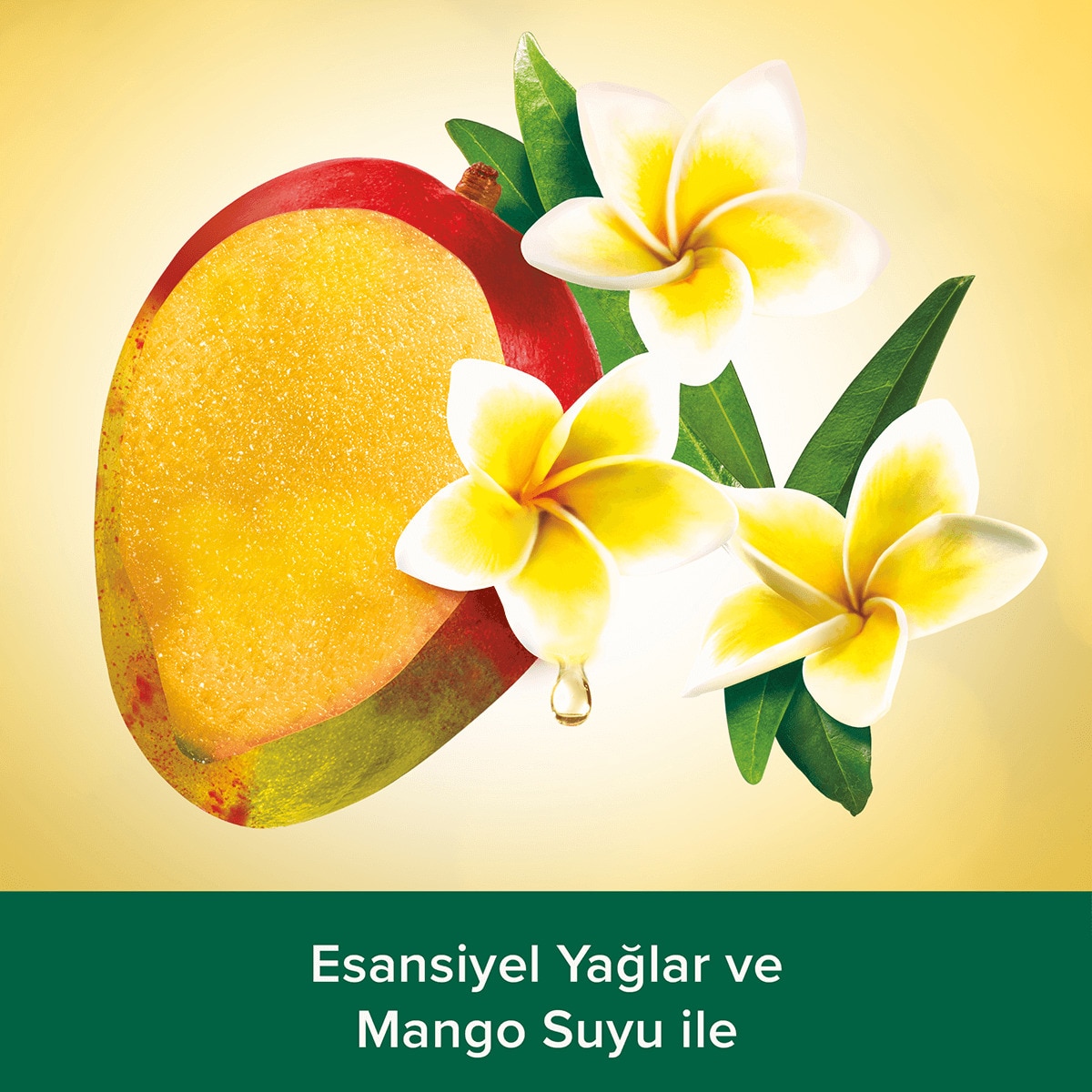  PALMOLIVE PALMOLIVE Palmolive Aroma Sensations Feelgood Duş Jeli 500 ml  1 of 4 