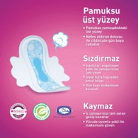 Molped Ultra Anatomik Tekli Normal 10 Adet