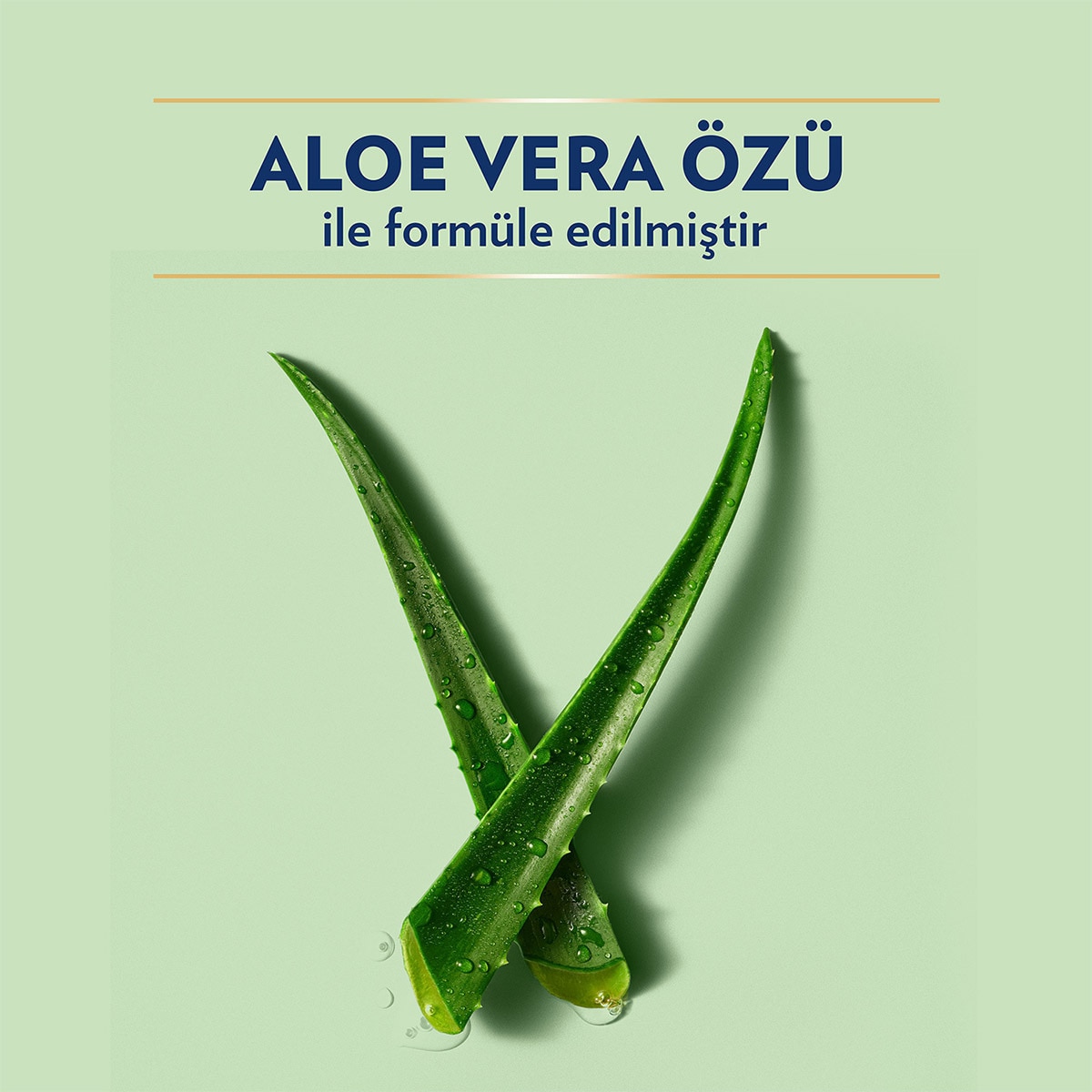  VASELINE VASELINE Vaseline Vücut Losyonu Aloe Vera Ferahlığı Kuru Ciltler İçin 200 ml  1 of 10 