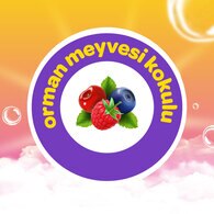 Dalin Geleceğin Yıldızı Orman Meyveli Köpük Sabun 200 ml