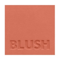 Pastel Crush Blush Allık 309