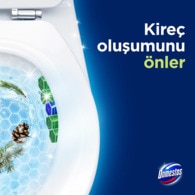 Domestos WC Block Çam Ormanı 100 g