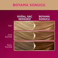 Palette Deluxe Saç Boyası Bej Sarı 8-5