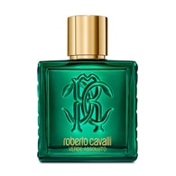  ROBERTO CAVALLI ROBERTO CAVALLI Roberto Cavalli Uomo Verde Assolut Erkek Parfüm EDP 100 ml  1 of 2 