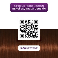 Palette Göz Alıcı Renkler Saç Boyası 5-68 Kestane
