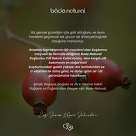 Bade Natural Aydınlatıcı ve Leke Karşıtı Kuşburnu Çekirdeği Özü Tonik 100 ml