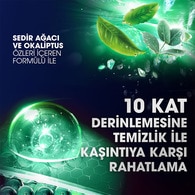 Clear Men Kepeğe Karşı Etkili Şampuan Günlük Arınma ve Ferahlık 350 ml