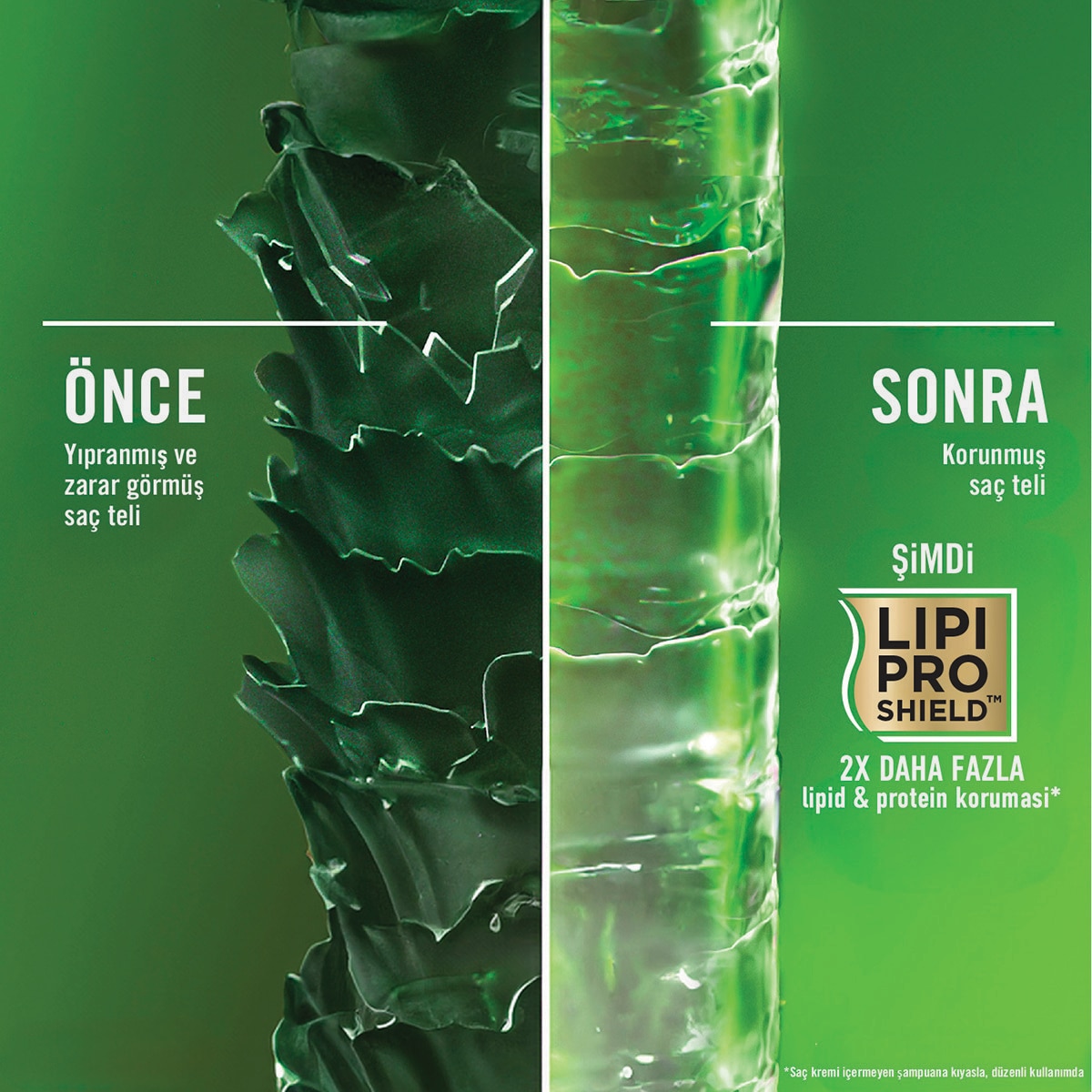 OGX OGX OGX Şampuan Rosemary Mint 385 ml 1 of 10