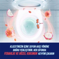 Domestos WC Blok Yıldız Çiçeği ve Ejder Meyvesi 100 g