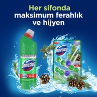 Domestos WC Block Çam Ormanı 100 g