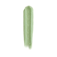 Pastellab. Lip Renewal Fresh Mint Scrub Yenileyici Dudak Bakım Scrub