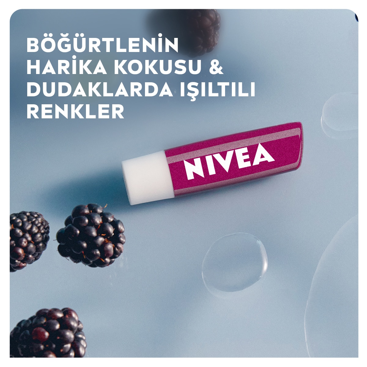  NIVEA LIP CARE NIVEA LIP CARE Nivea Böğürtlen Dudak Bakım Kremi ve Parlatıcısı 4,8 g  1 of 6 