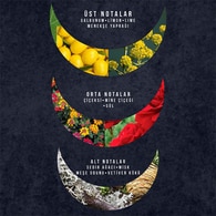 Watsons Erkek Edt Dark Shade 100 ml