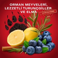 Old Spice Bearglove Erkekler için Deodorant Stick 50 ml