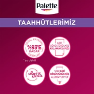 Palette Deluxe Saç Boyası Küllü Kahve 6-11