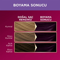 Palette Deluxe Saç Boyası 4-99 Patlıcan Moru