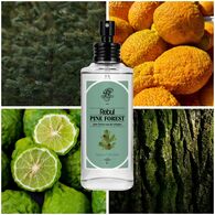  REBUL REBUL Rebul Kolonya Pine Forest 100 ml  1 of 2 