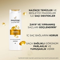 Pantene Şampuan Onarıcı & Koruyucu 325 ml