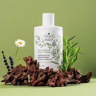 Otacı Botanics+ Canlandırıcı & Besleyici Bitkisel Bakım Şampuanı 375 ml 