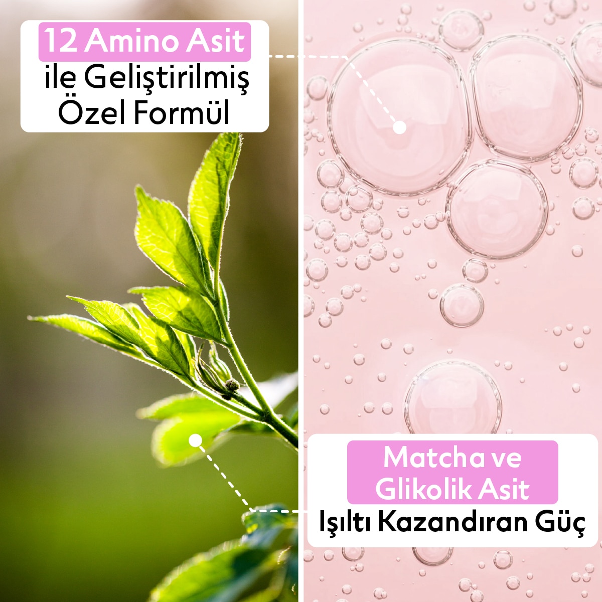  ASHLEY JOY ASHLEY JOY EXC. Ashley Joy Matcha Gloss Glikolik Asit İçeren Işıltı ve Parlaklık Veren Şampuan 400 ml  1 of 8 