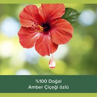 Palmolive Aroma Sensational Duş Jeli Feel Energy 750 ml