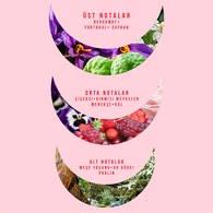 Watsons Nova Rise Kadın Parfüm Edt 85 ml