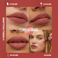Maybelline New York Teddy Tint No: 10