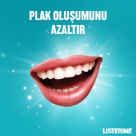 Listerine Cool Zero Ağız Suyu 250 ml