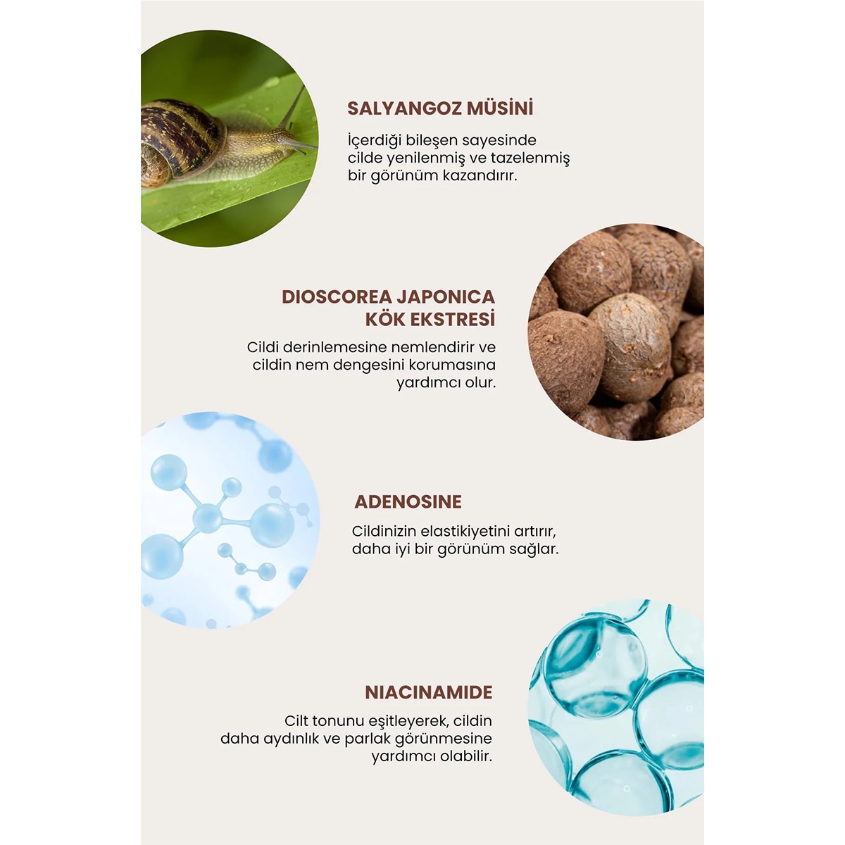DEOPROCE KOREA DEOPROCE KOREA Deoproce Kore Snail Recovery Krem 30 g 1 of 7