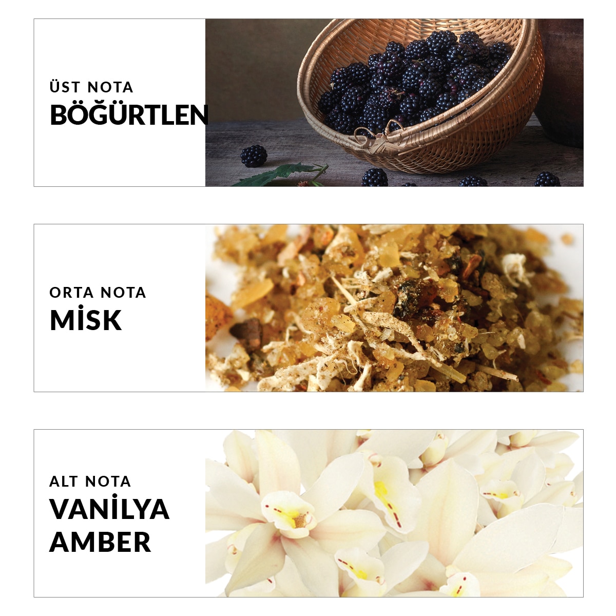 AVON AVON Avon Attraction Kadın Parfüm EDP 50 ml 1 of 4