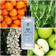  REBUL REBUL Rebul Ice Kolonya 100 ml  1 of 3 