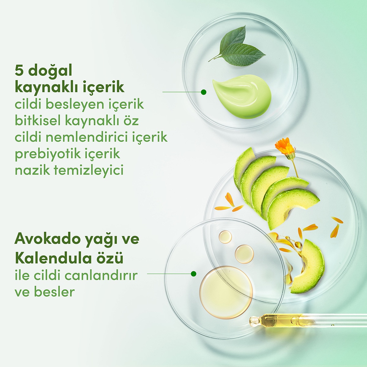 DOVE DOVE Dove Nemlendirici Duş Jeli Avokado Yağı ve Kalendula Özü 450 ml 1 of 5