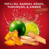  OLD SPICE OLD SPICE Old Spice XMas26 White Water Sport Fan Hediye Seti  1 of 7 