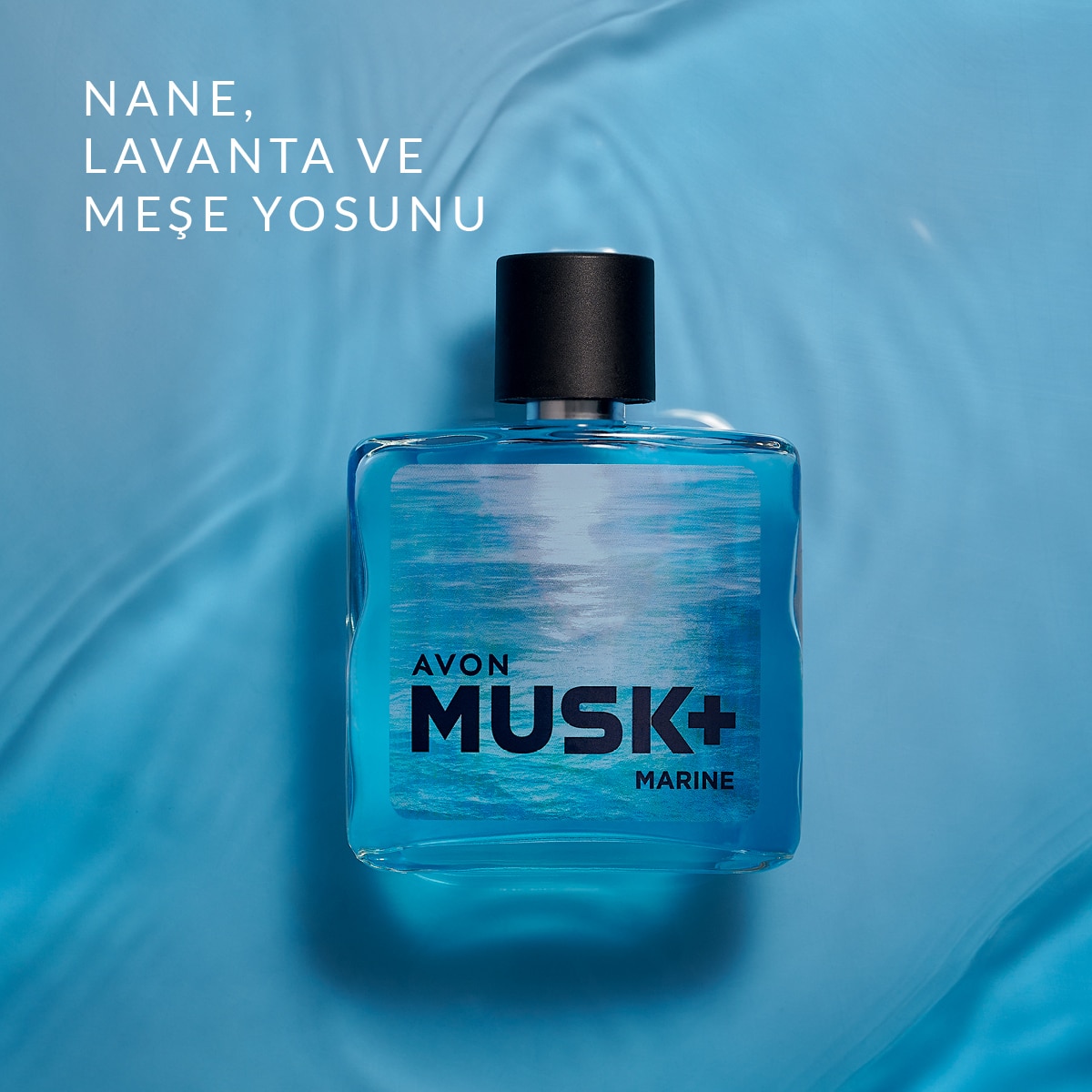 AVON AVON Avon Musk Marine Erkek EDT 75 ml 1 of 4