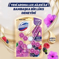 Domestos WC Blok Hibiskus ve Kırmızı Meyveler 100 g