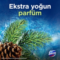 Domestos WC Block Çam Ormanı 100 g