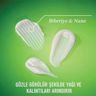 OGX Şampuan Rosemary Mint 385 ml