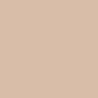 Flormar Tinted Moisturizer Renkli Nemlendirici No: 003